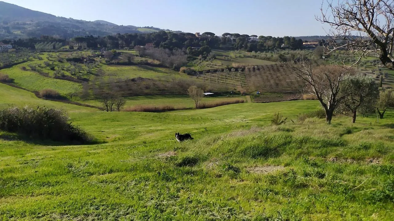 Farm stay Agriturismo Macchia Al Pino Pomaia Italy