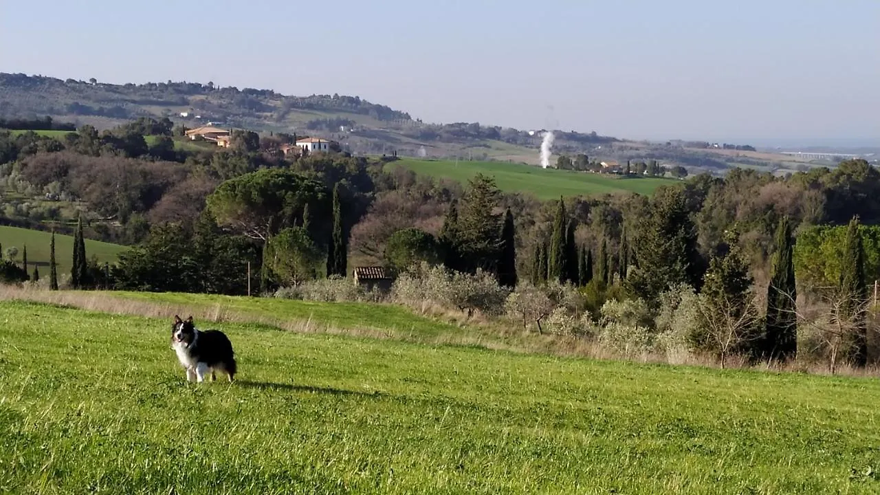Farm stay Agriturismo Macchia Al Pino Pomaia Italy